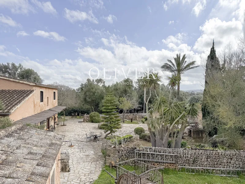 Rustic finca in Algaida — photo 3
