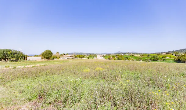 Building plot with license and fantastic views in Manacor — photo 4