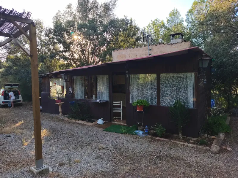 Finca of 12000 m² in the area of Sa Comuna, almost entirely enclosed by stone wall, with an old stone cottage of about 30 m² and an annex — photo 7