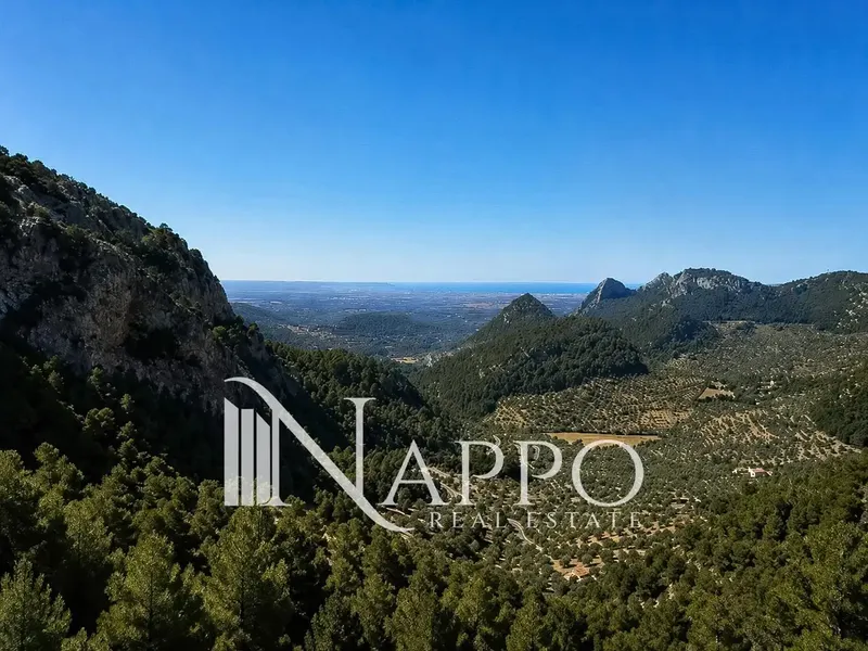 Nappo Real Estate tiene el placer de presentar en exclusiva esta singular propiedad situada en el Coll de Sóller, en pleno corazón de la Ser — photo 2