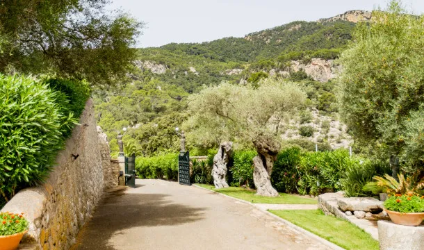 Historic manor house near Esporles — photo 11