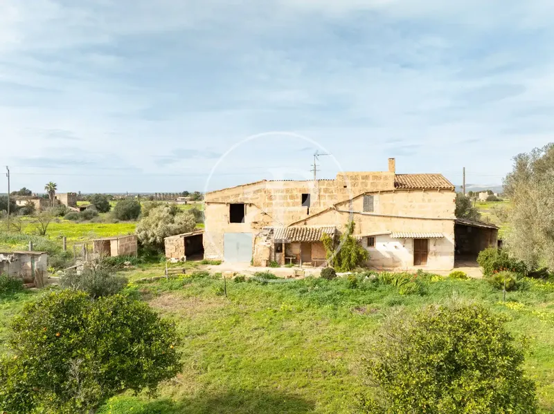Casa rústica con jardín en venta en Son Rango — photo 11