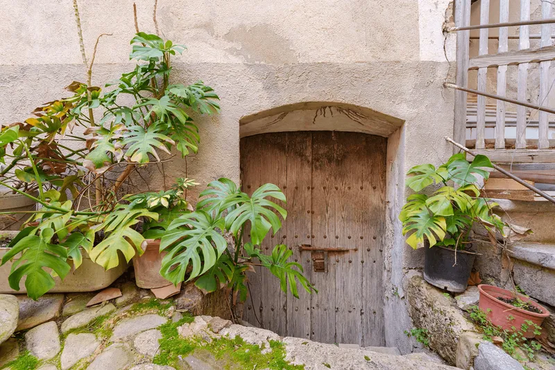 Historic Estate - Finca de sa Fortuny in Estellencs — photo 5