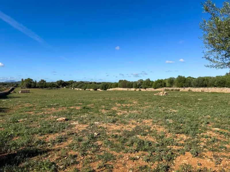 Beautiful rustic estate with panoramic views, natural light... — photo 10