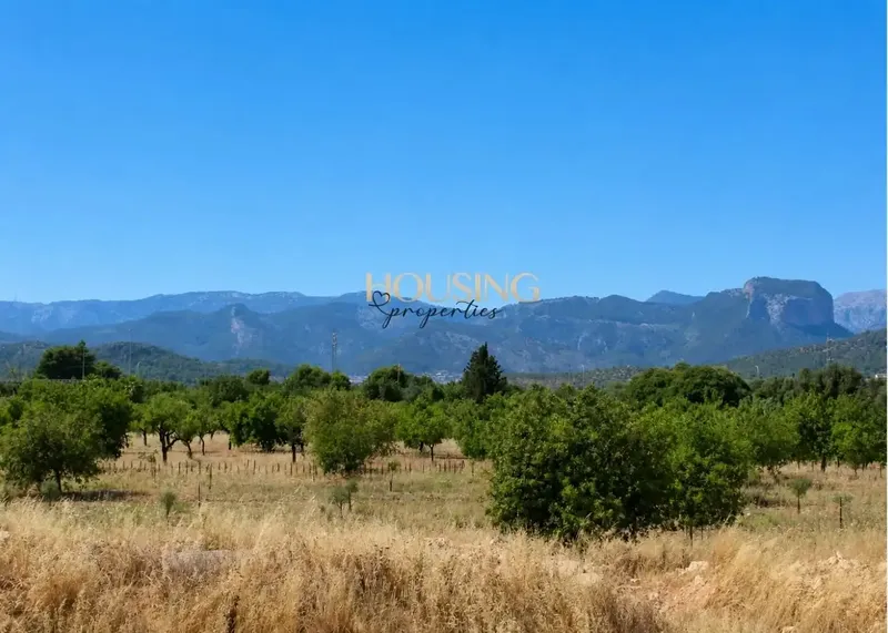 Brand New! Spectacular Rustic Property with Pool in Consell — photo 6