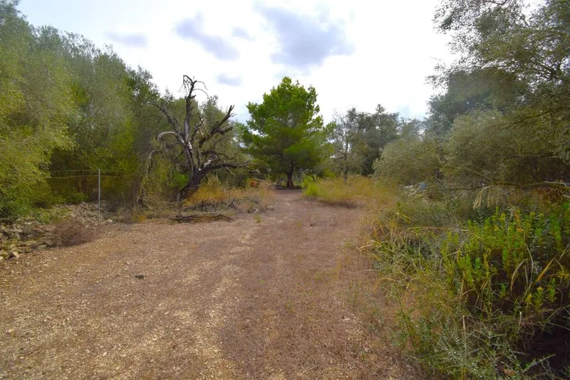 Land in Muro, Province of Balearic Islands — photo 11