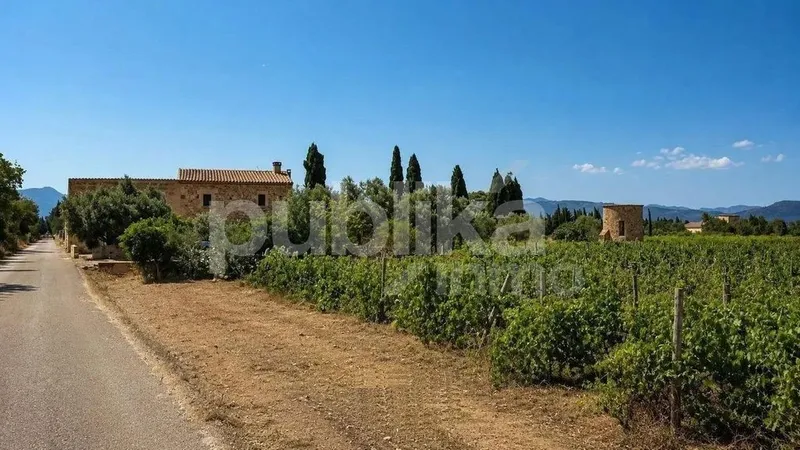 Rural or Farmhouse in Muro, Province of Balearic Islands — photo 9
