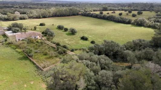 House with land - Porreres (Outskirts) — photo 5