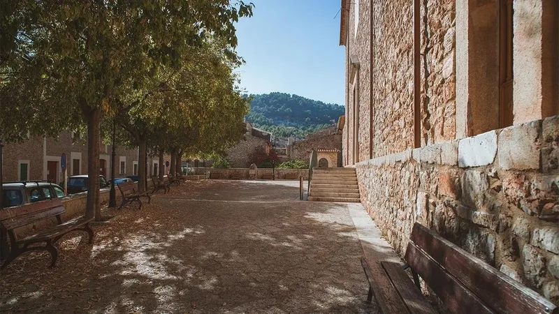 Land in Mancor de la Vall, Province of Balearic Islands — photo 6