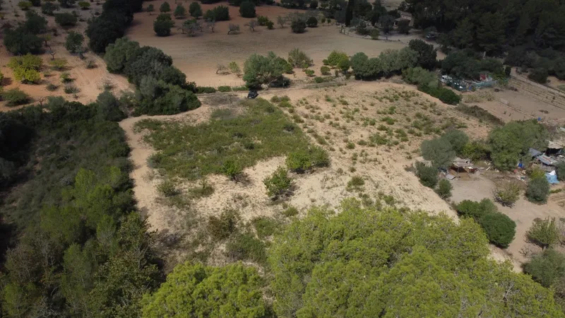Rustic plot of 2,752 m² with fruit trees and wooded area — photo 3