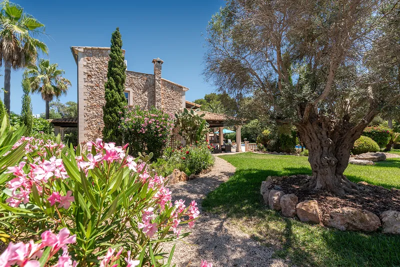 Luxury villa with sea views in Cala Pi — photo 2