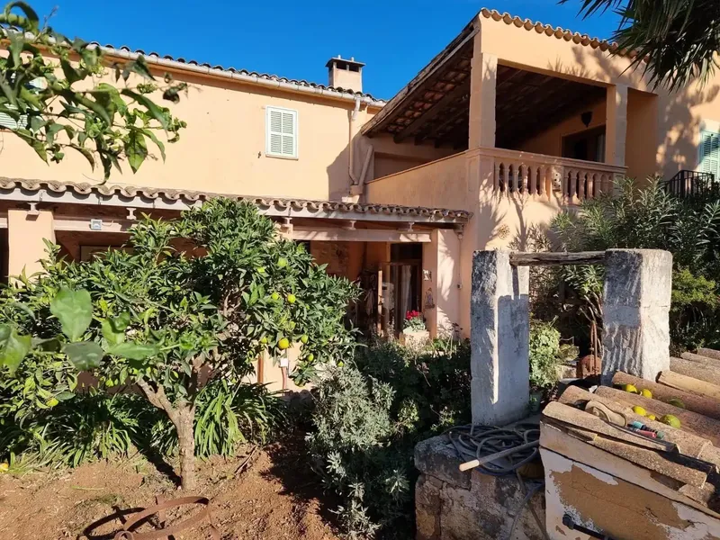Beautiful finca with extensive horse riding facilities and stables in the south center of the island with excellent connections — photo 3