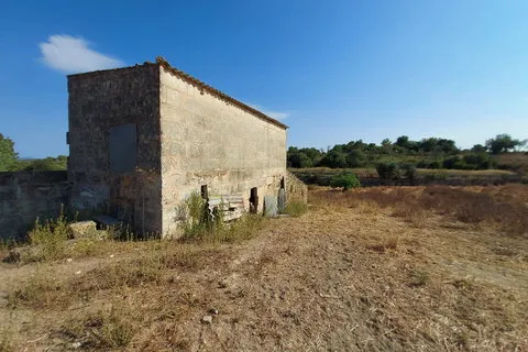 Land in Maria de la Salut, Mallorca — photo 10