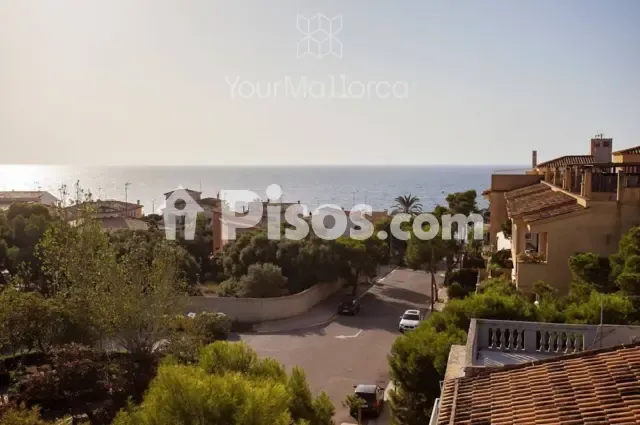 Piso en Manacor — photo 1