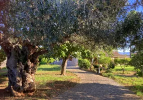 Charming Mallorcan Country House in Establiments — photo 3