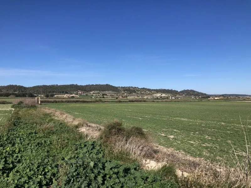 Beautiful plot with open views on the outskirts of Sant Joan — photo 3