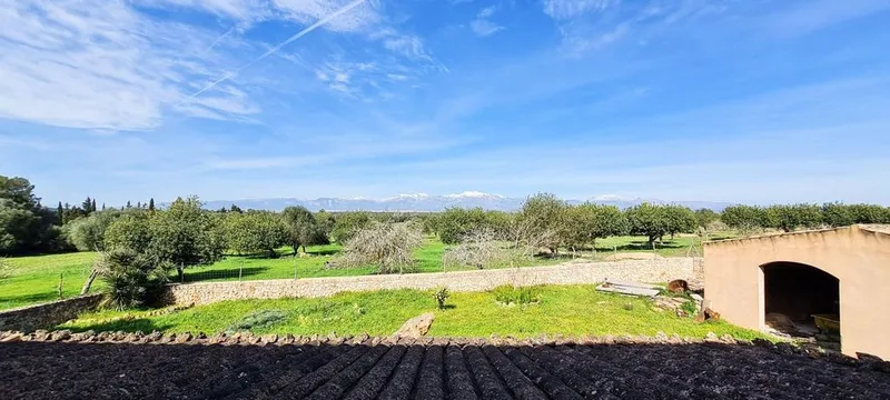 Rural or Farmhouse in Sineu, Province of Balearic Islands — photo 5