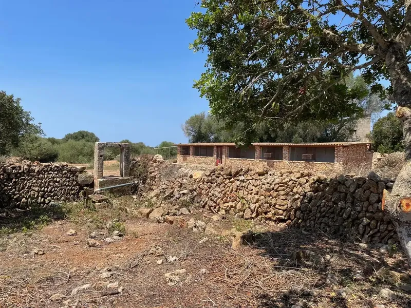 Unique opportunity! Large rustic estate of 304,031 m² for sale in the exclusive area of Cala Pi, ideal for agricultural operations or — photo 10