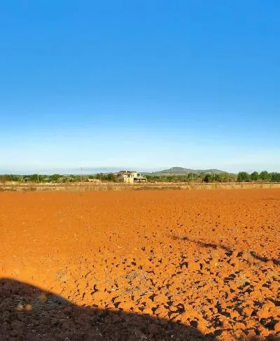 Rural Land - Felanitx, Built Surface 228m², Plot Surface 16134m², 3 Bedrooms, 2 Bathrooms — photo 4