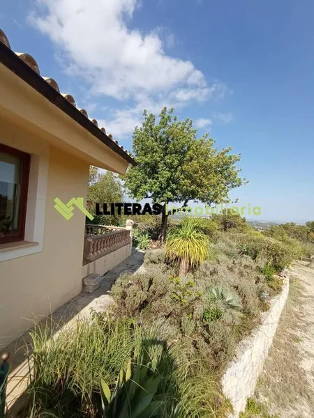 Rural or Farmhouse in Selva, Province of Balearic Islands — photo 8