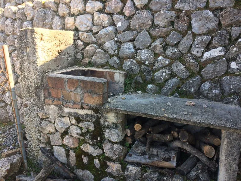 Beautiful olive grove with porch and car access in Fornalutx — photo 3