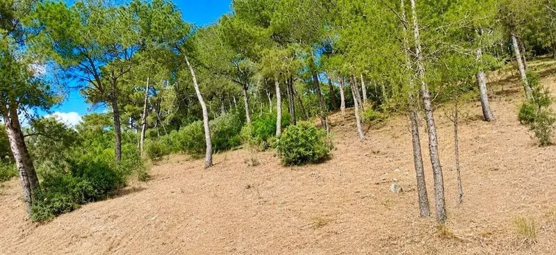 Land in Capdepera, Province of Balearic Islands — photo 4