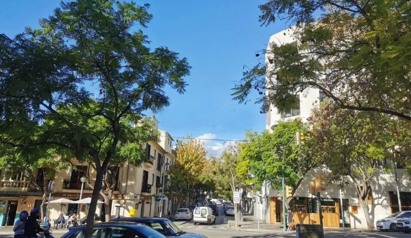 Trest 001 – Santa Catalina — photo 2