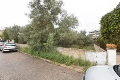 Buildable Urban Plot in Manacor — photo 3