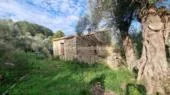 Finca / Rustic Caimari — photo 1
