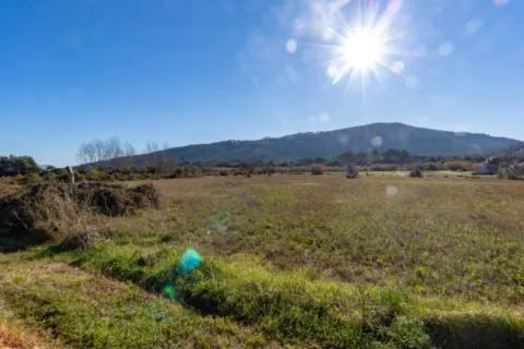 Plot — photo 4