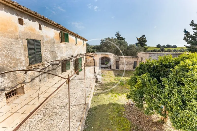 Farmhouse in Algaida, Province of Balearic Islands — photo 10