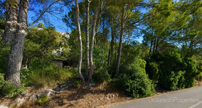 Land for sale in Pollença, Mallorca, Baleares, Spain — photo 1