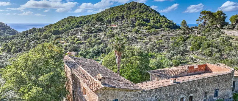 Charming rustic finca in Estellencs in the Tramuntana with partial sea views and olive grove — photo 1