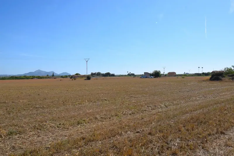 Set of two plots totaling 15,324 m² with possibility of building a house in Muro. Located approximately 5 km from the beach — photo 9