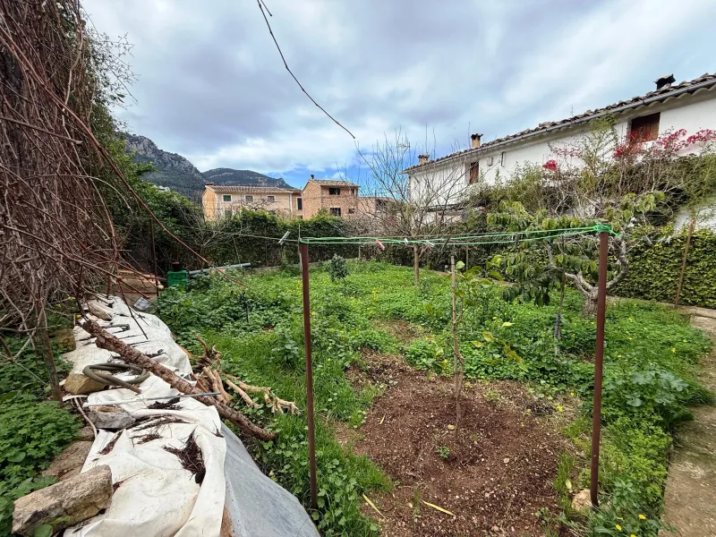 Authentic Mallorcan house in Sóller — photo 4
