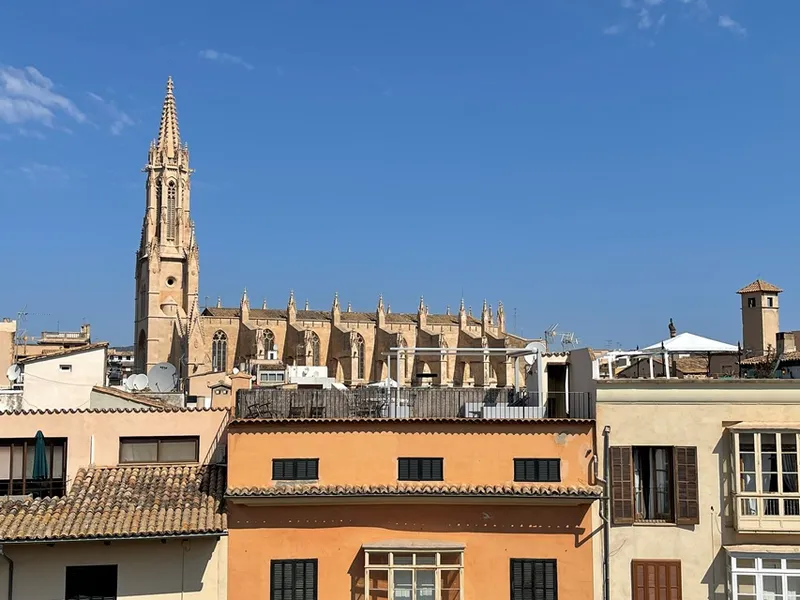 Elegant apartment, three bedrooms, communal terrace, old town of Palma — photo 10