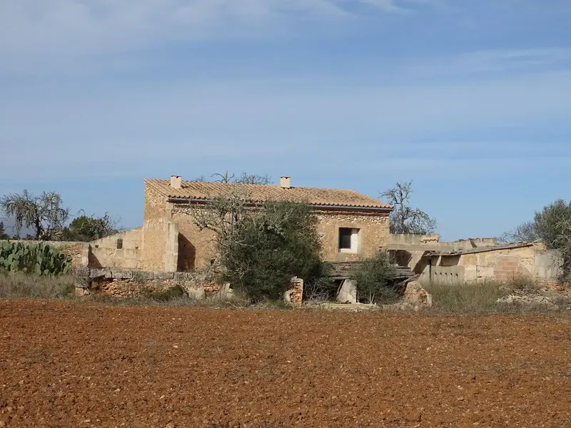 Estate of more than 22,000 m2, located between Campos and Santanyi, within the municipality of Campos, about three kilometers from the village of Campos — photo 3