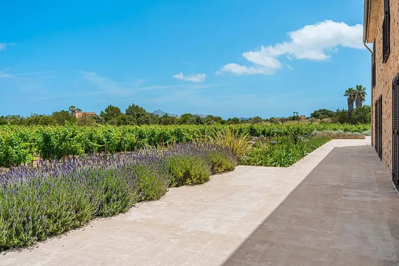 Newly Completed Luxury Vineyard Estate Between Pollensa and Alcúdia — photo 5
