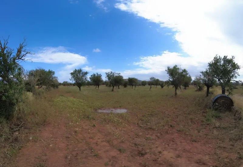 Plot between Santanyi and Cas Concos located 1km from Santanyi — photo 1