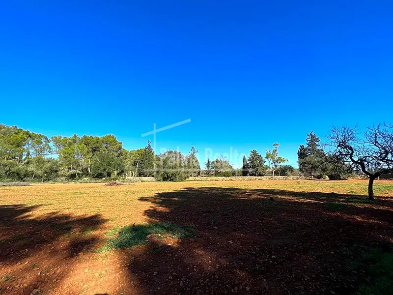 Country Estate for sale in Algaida of 16229 m2 — photo 2