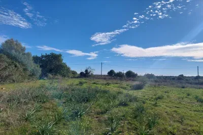 Building land with licence — photo 1