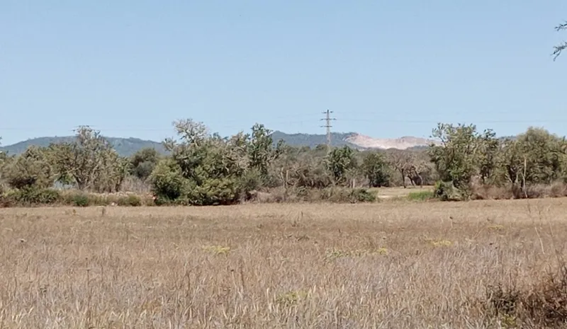 Country Land near Campos — photo 8