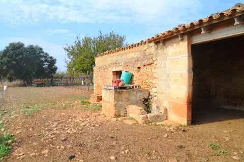 Land in Buger, Mallorca — photo 9