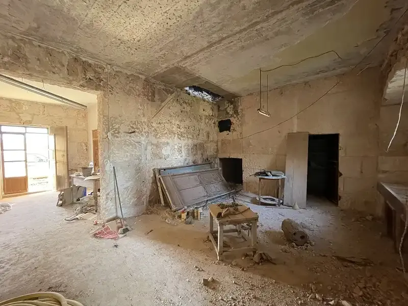 Finca to renovate, perfect for keeping animals — photo 12