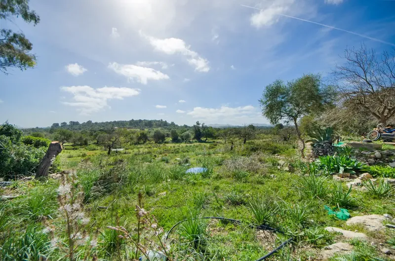 Finca to renovate in the hills before Artà — photo 8