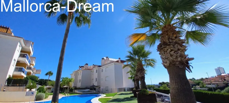 Calas de Mallorca: A high-quality, modernised flat with a stunning view of the palm-lined pool, sunshine until the evening and a private parking space — photo 5