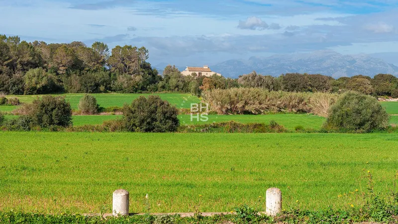 Country plot for sale in Muro — photo 1