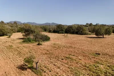 Building land for sale in Felanitx — photo 1