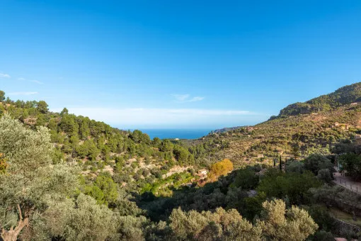 Deià, large rustic estate in the mountains a few minutes from Deià — photo 1
