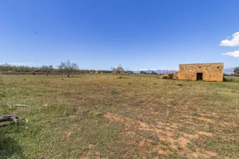 Plot — photo 4